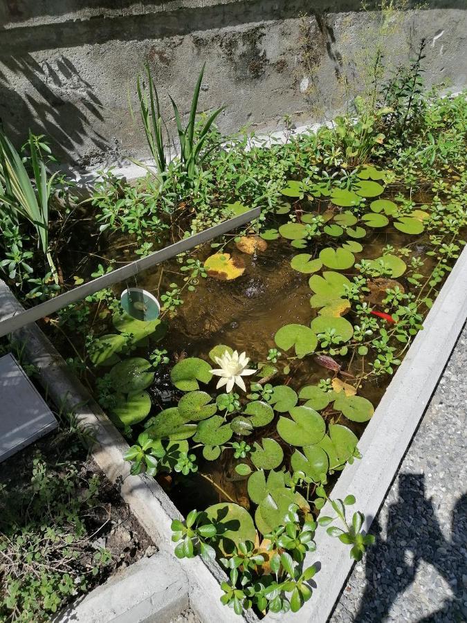 ジェノヴァ Il Giardino Di Elettra - Freeparkingアパートホテル エクステリア 写真